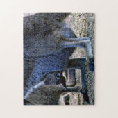 Baby kangaroo in moeders buik - Australië Legpuzzel (Verticaal)
