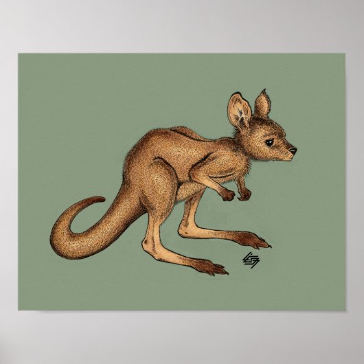Baby Kangaroo/ Joey over groene achtergrond Poster (Voorkant)