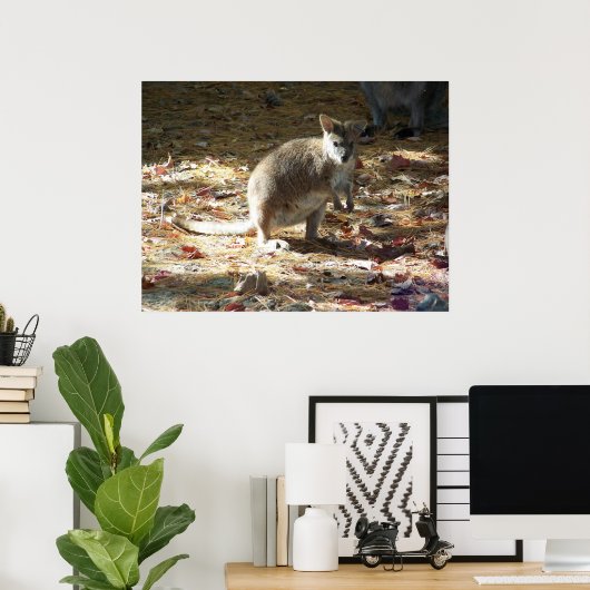 baby kangoeroe poster (Thuiskantoor)