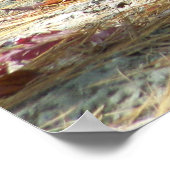 baby kangoeroe poster (Hoek)