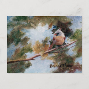 Baby Kardinaal Briefkaart