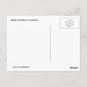 Baby kardinaal briefkaart (Achterkant)