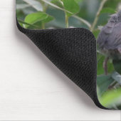 Baby kardinaal muismat (Hoek)