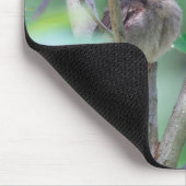 Baby Kardinaal Slapen Muismat (Hoek)