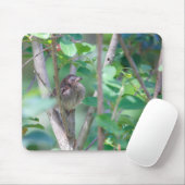 Baby Kardinaal Slapen Muismat (Met muis)