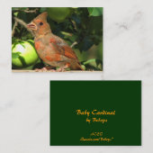 Baby kardinale ATC Visitekaartje (Voorkant / Achterkant)