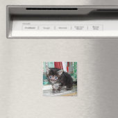 Baby Kat Magneet (Insitu (Vaatwasser))