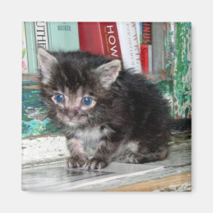 Baby Kat Magneet