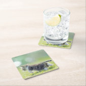 Baby kat op grasveld. kartonnen onderzetters (Insitu)