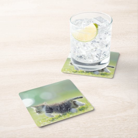 Baby kat op grasveld. kartonnen onderzetters (Insitu)