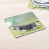 Baby kat op grasveld. kartonnen onderzetters (Schuin)