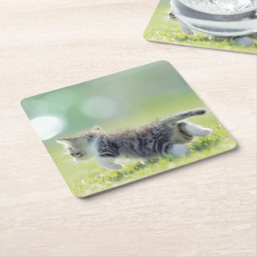 Baby kat op grasveld. kartonnen onderzetters (Schuin)