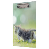 Baby kat op grasveld. klembord (Links)