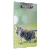 Baby kat op grasveld. klembord (Rechts)