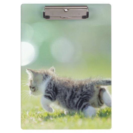 Baby kat op grasveld. klembord (Voorkant)