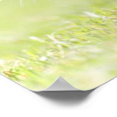 Baby kat op grasveld. poster (Hoek)