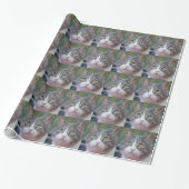 Baby kattenpapier cadeaupapier (Uitgerold)