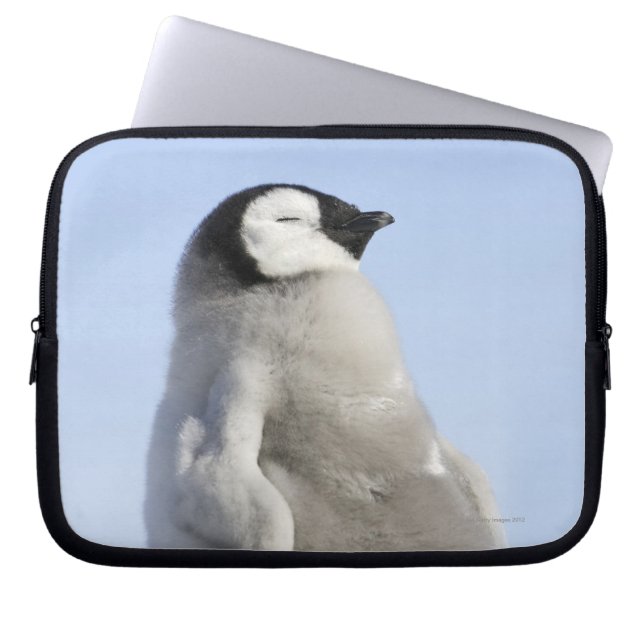 Baby keizer Penguin, Snow Hill Island Laptop Sleeve (Voorkant)
