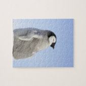 Baby keizer Penguin, Snow Hill Island Legpuzzel (Horizontaal)