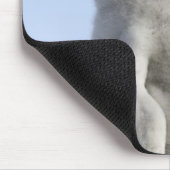 Baby keizer Penguin, Snow Hill Island Muismat (Hoek)