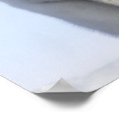 Baby keizer Penguin, Snow Hill Island Poster (Hoek)