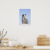 Baby keizer Penguin, Snow Hill Island Poster (Keuken)
