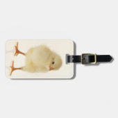 Baby kip bagagelabel (Voorkant horizontaal)