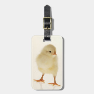 Baby kip bagagelabel