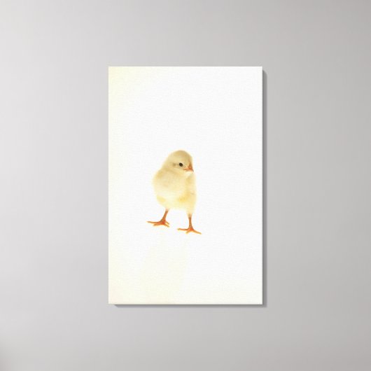 Baby kip canvas afdruk (Voorkant)