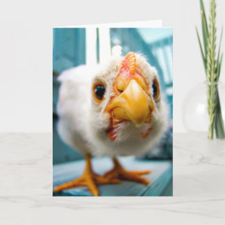 Baby Kip, Haan, Boerderij Dier, Wenskaart Kaart