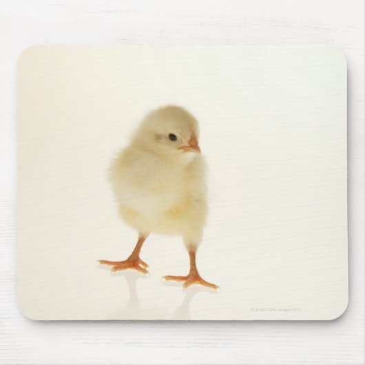 Baby kip muismat (Voorkant)