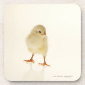 Baby kip onderzetter (Voorkant)