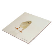 Baby kip tegeltje (Zijkant)