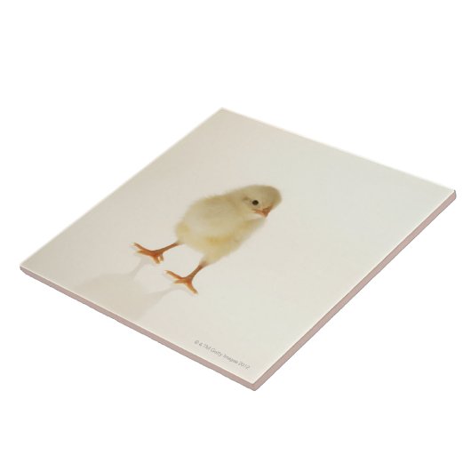 Baby kip tegeltje (Zijkant)