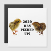 Baby Kippen (Voorkant / Achterkant)