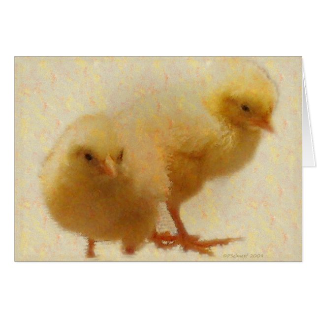 Baby Kippen (Voorkant Horizontaal)