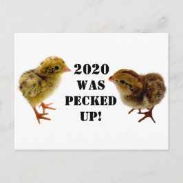Baby Kippen Briefkaart