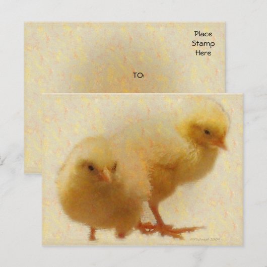 Baby Kippen Briefkaart (Voorkant / Achterkant)