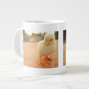 Baby Kippen Grote Koffiekop
