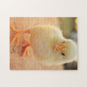 Baby Kippen Legpuzzel (Horizontaal)
