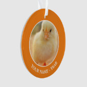 Baby Kippen Ornament (voorkant)
