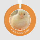 Baby Kippen Ornament (achterkant)