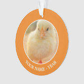 Baby Kippen Ornament (voorkant)