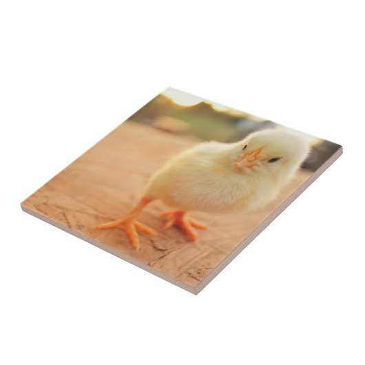 Baby Kippen Tegeltje (Zijkant)