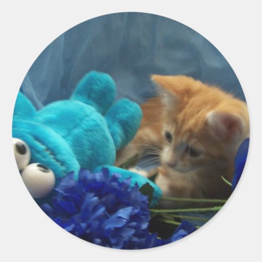 baby kitten Cole Ronde Sticker (Voorkant)