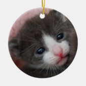Baby Kitten Ornament Grey & White (Voorkant)