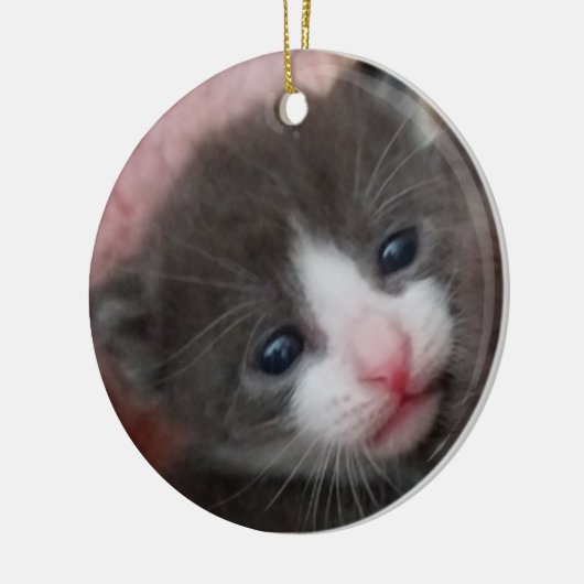 Baby Kitten Ornament Grey & White (Links)