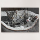 baby kittens puzzel (Horizontaal)