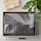 baby kittens tissuepapier (Geschenk)