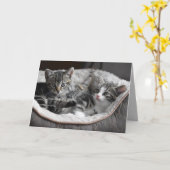 baby kittens wenskaart kaart (Gele Bloem)